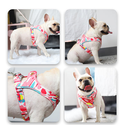 Arnés Transpirable Estampado para Mascotas - Image 11
