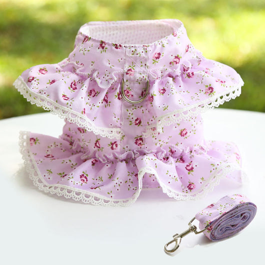 Arnés Pectoral con Correa para Perro Pequeño - Encaje Floral Primavera - Image 16