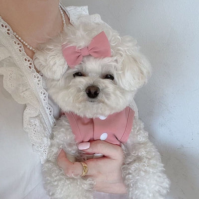Falda de Encaje Elegante para Mascotas - Image 2
