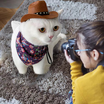Gorro Navideño y Halloween para Mascotas - Sombrero de Fieltro Peludo - Image 23