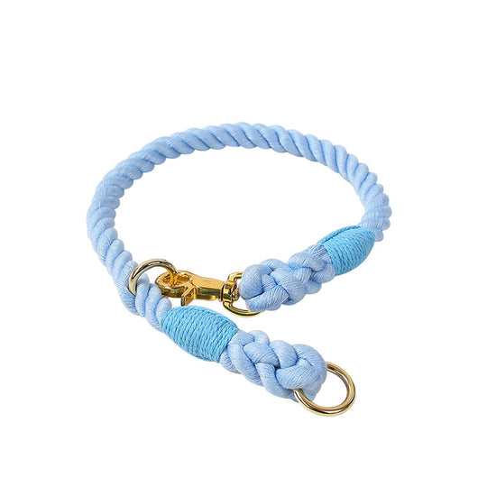 Collar Tipo P Ajustable para Perros Pequeños y Medianos - Image 12