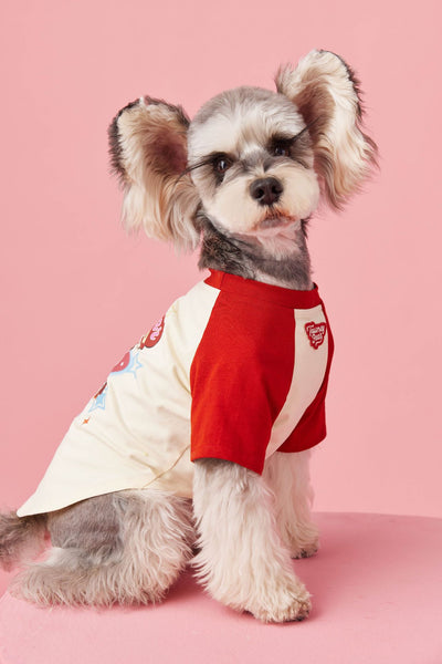 Ropa de Verano para Perros con Contraste de Colores - Image 13