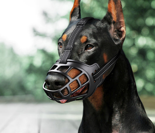 Bozal Suave Antimodidas para Perros Pequeños, Medianos y Grandes - Image 8