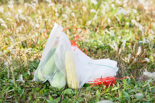 Bolsa Protectora de Nylon para Frutas y Verduras - Image 12