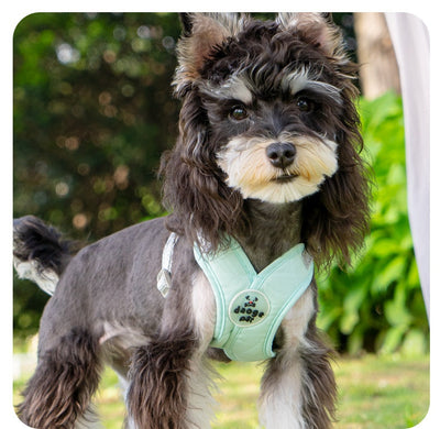 Arnés de Paseo con Correa de Mano para Mascotas - Image 12