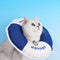 Collar Isabelino Antilamido para Perros y Gatos