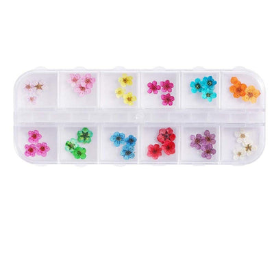 Kit de Flores Secas para Decoración de Uñas - 12 Compartimentos con Margaritas y Flores Silvestres Reales - Image 10