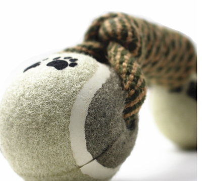 Border collie holding a cotton rope dumbbell dog toy with tennis ball ends and paw print designs. - Image 7