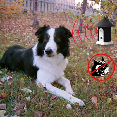Silenciador Ultrasónico Anti Ladridos para Perros | Entrenador Exterior - Image 9