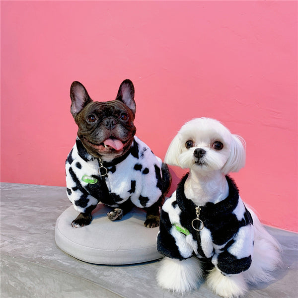 Abrigo Cálido para Perros Pequeños y Medianos - Ropa de Otoño e Invierno