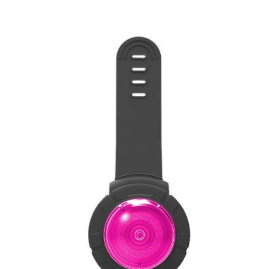 Luz LED Segura para Paseos Nocturnos de Mascotas - Collar Luminoso Antiextravío - Image 10