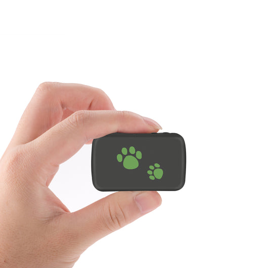 Rastreador GPS Antipérdida para Mascotas en Material PVC Resistente - Image 7