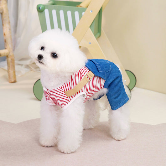 Pantalón Denim de Cuatro Patas para Mascotas con Estilo - Image 10