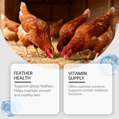 Tabletas de Suplemento Nutricional para Aves de Corral y Animales Pequeños - Image 3