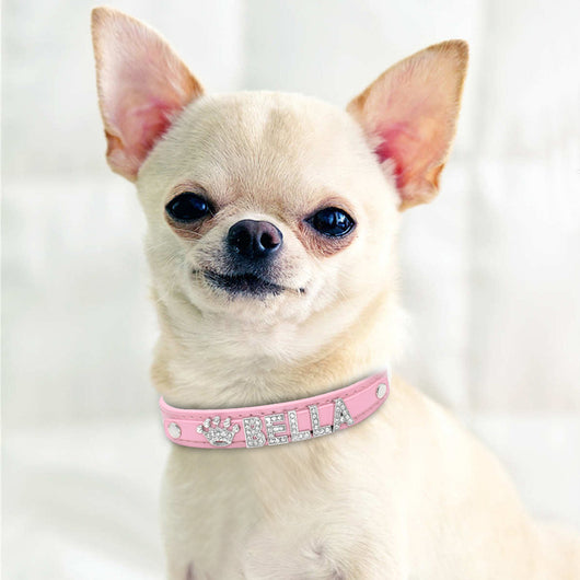 Collar Personalizado para Perros Pequeños con Strass Brillante - Image 23
