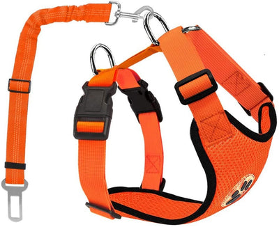 Cuerda Reflectante y Transpirable para Perros - Image 17