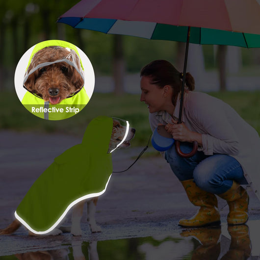 Impermeable para Perros Pequeños con Capucha Transparente - Image 19