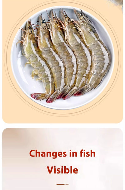 Alimento para Peces Ornamentales con Semáforo de Control - Image 12