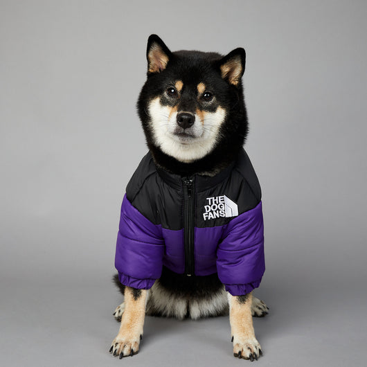 Abrigo Impermeable y Cortavientos para Perros - Ropa de Invierno Acolchada - Image 4