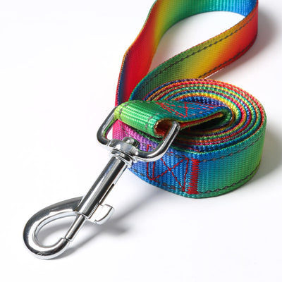 Arnés Colorido con Correa para Perros - Diseño Creativo y Seguro - Image 3