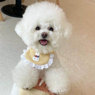 Babero Absorbente para Mascotas - Toalla Saliva Perros y Conejos - Image 14