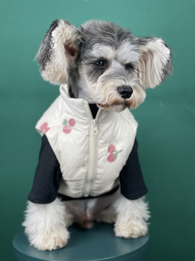 Chaleco Térmico para Perros - Abrigo Cereza Otoño e Invierno - Image 6
