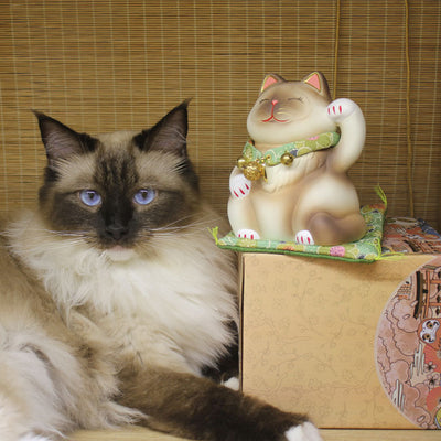 Gato de la Suerte Japonés - Decoración Cerámica Maneki-neko para el Hogar - Image 5