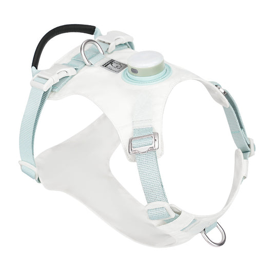 Arnés Pectoral para Perro con Luz LED Nocturna - Image 6