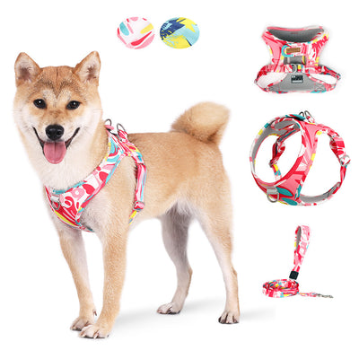 Arnés Transpirable Estampado para Mascotas