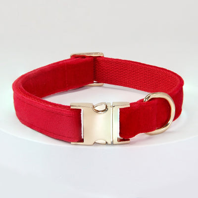 Collar Antipérdida para Perros Grandes con Grabado Personalizado - Image 5