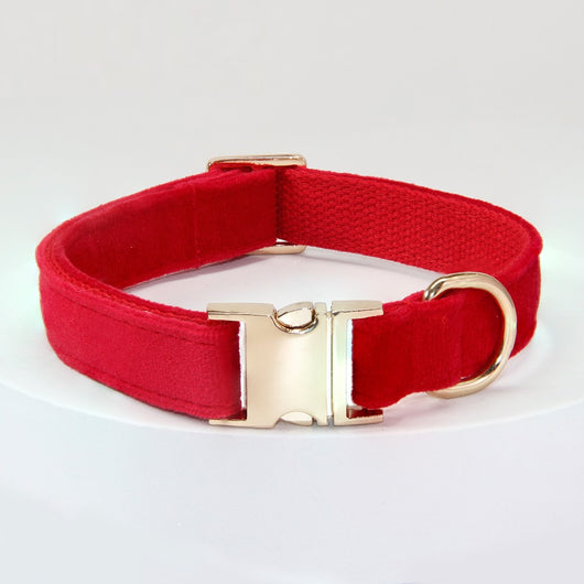 Collar Antipérdida para Perros Grandes con Grabado Personalizado - Image 5