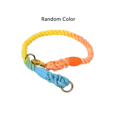 Collar Tipo P Ajustable para Perros Pequeños y Medianos - Image 15