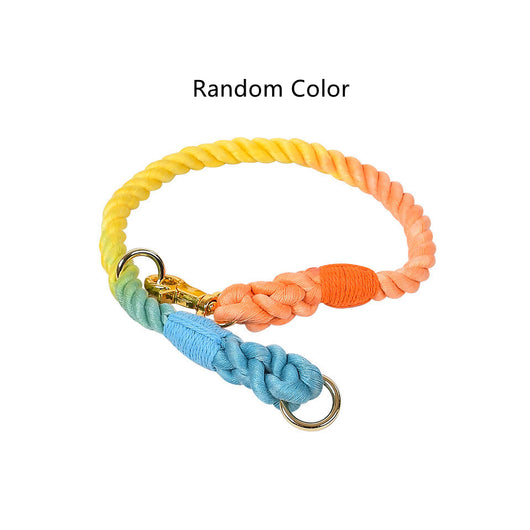 Collar Tipo P Ajustable para Perros Pequeños y Medianos - Image 15