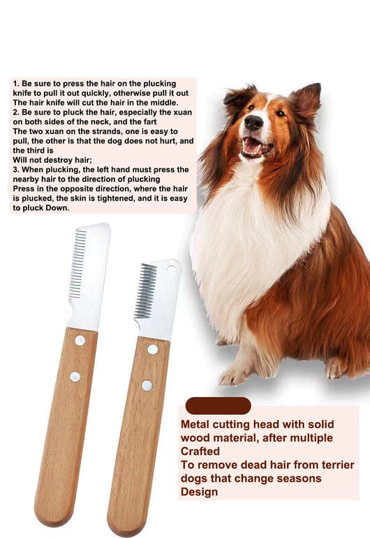 Kit Profesional de Aseo para Perros: Peine Deslanador y Máquina Cortapelo para Terrier - Image 9