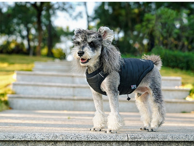 Chaleco Acolchado Invernal para Perros - Abrigo Universal con Relleno de Algodón - Image 14