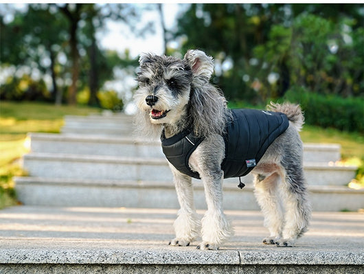 Chaleco Acolchado Invernal para Perros - Abrigo Universal con Relleno de Algodón - Image 14