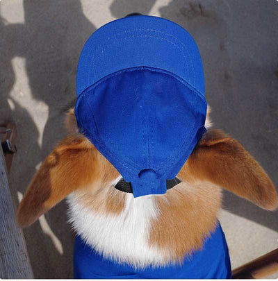 Gorra Protectora Solar Ajustable para Mascotas con Orejas Descubiertas - Image 14