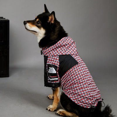 Impermeable para Perros Resistente al Viento y la Lluvia - Image 10