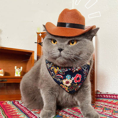 Sombrero Vaquero Decorativo para Gatos - Image 18