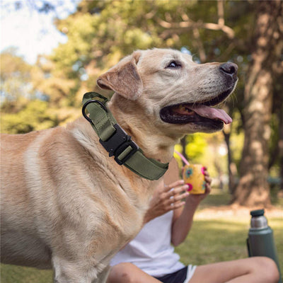 Collar Táctico Personalizado para Perros