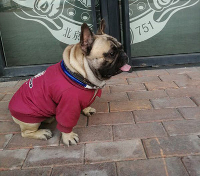 Suéter de Algodón y Forro Polar para Mascotas - Image 5