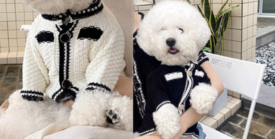 Cardigan Tejido a Rayas para Perros - Suéter Cómodo y Elegante - Image 4