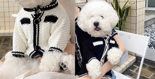 Cardigan Tejido a Rayas para Perros - Suéter Cómodo y Elegante - Image 4