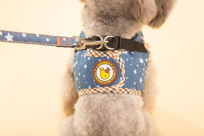 Arnés Chaleco Vaquero con Cuerda de Tracción para Perros - Image 18