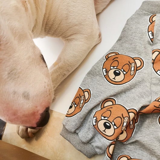 Playera para Mascota con Estampado de Osito Adorable - Image 7