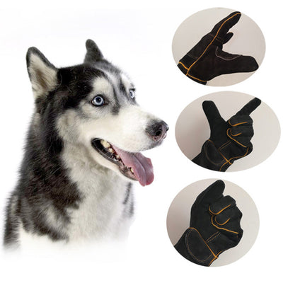 Guantes Protectores Reforzados para Mascotas - Image 16