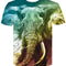 Playera 3D Estampada para Hombre