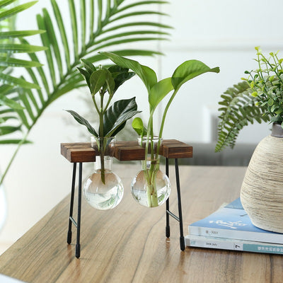 Terrario Rústico para Plantas con Soporte de Madera - Image 6