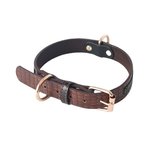 Correa y Collar para Perro - Sistema de Control Seguro