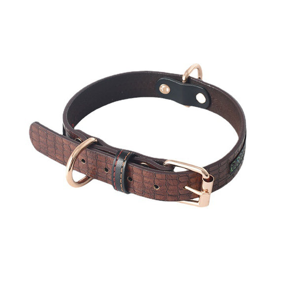 Correa y Collar para Perro - Sistema de Control Seguro